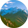 Mms 358